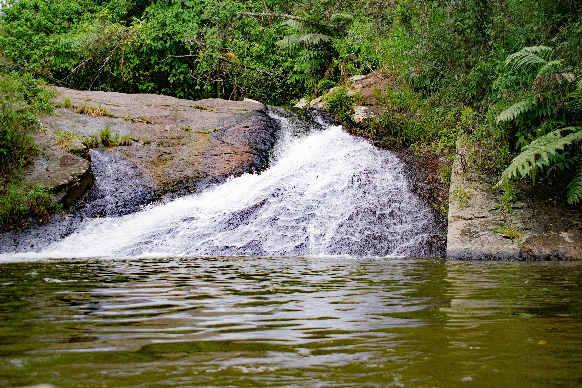 pozo de quebrada y bosque