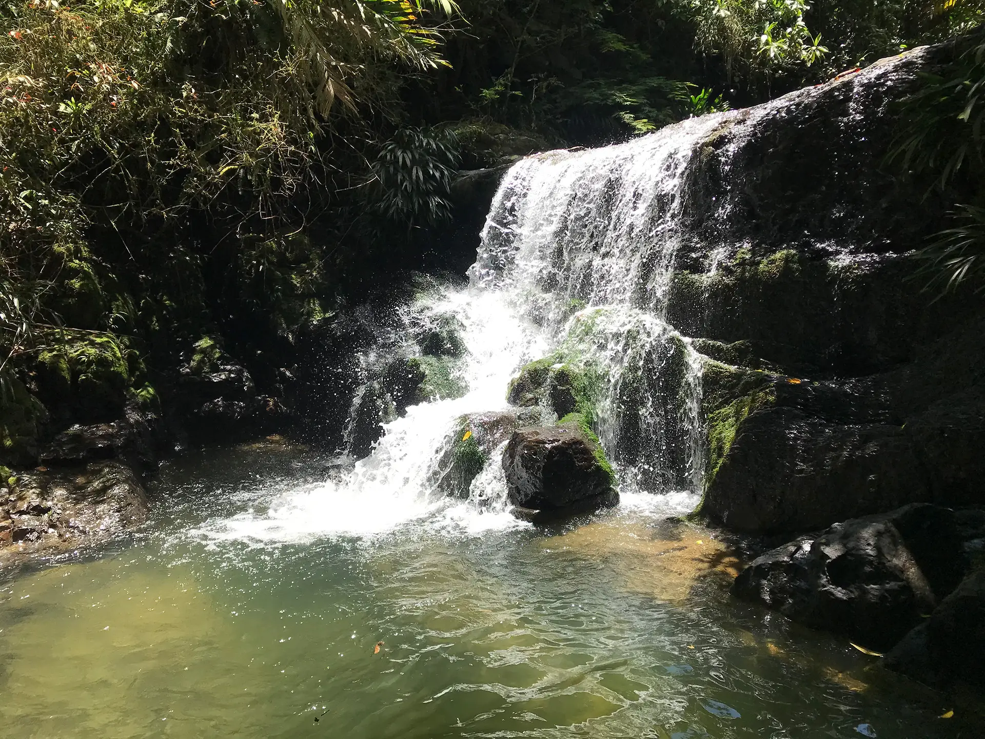 Agua pura cayendo en las rocas