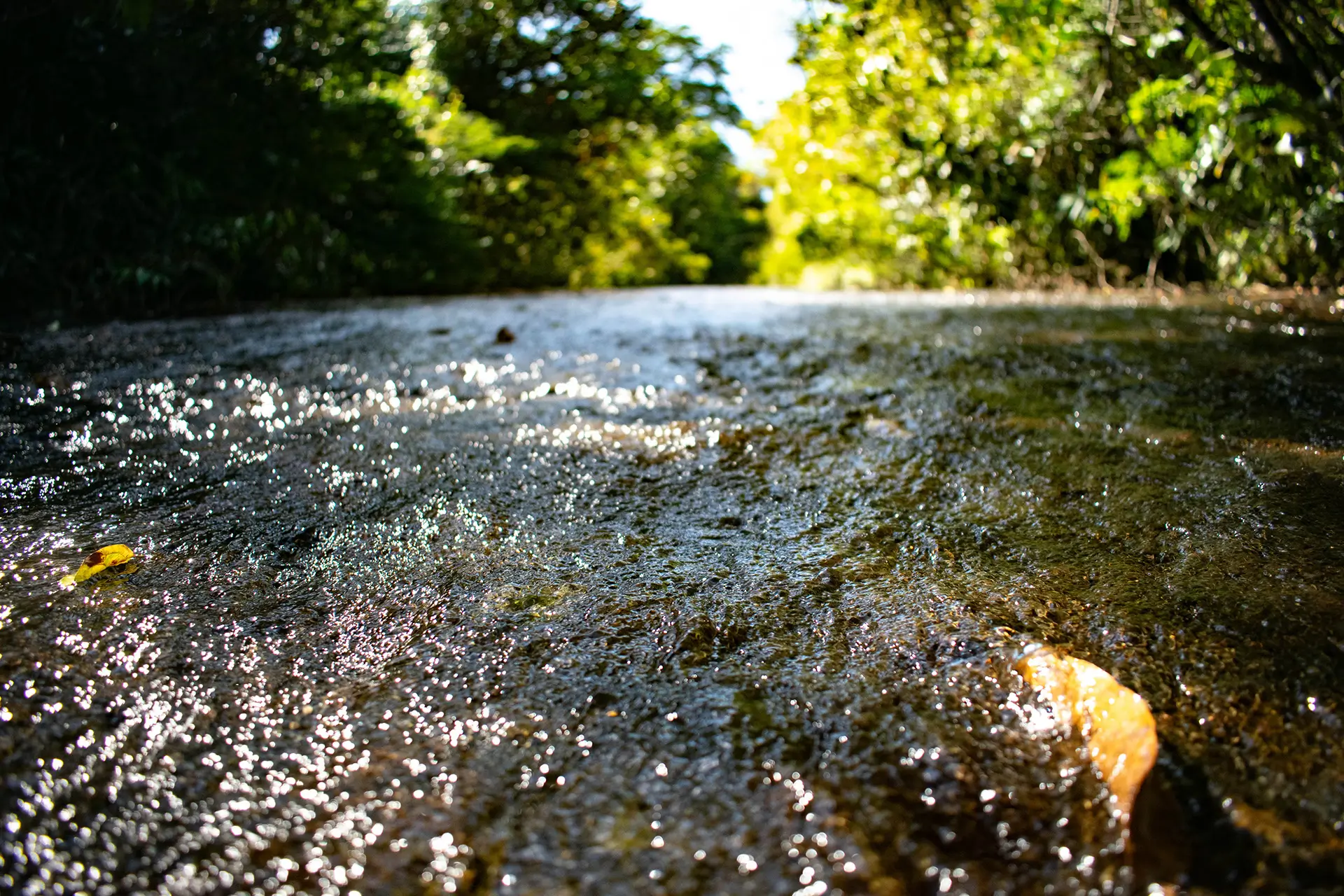 agua pura sobre piedra