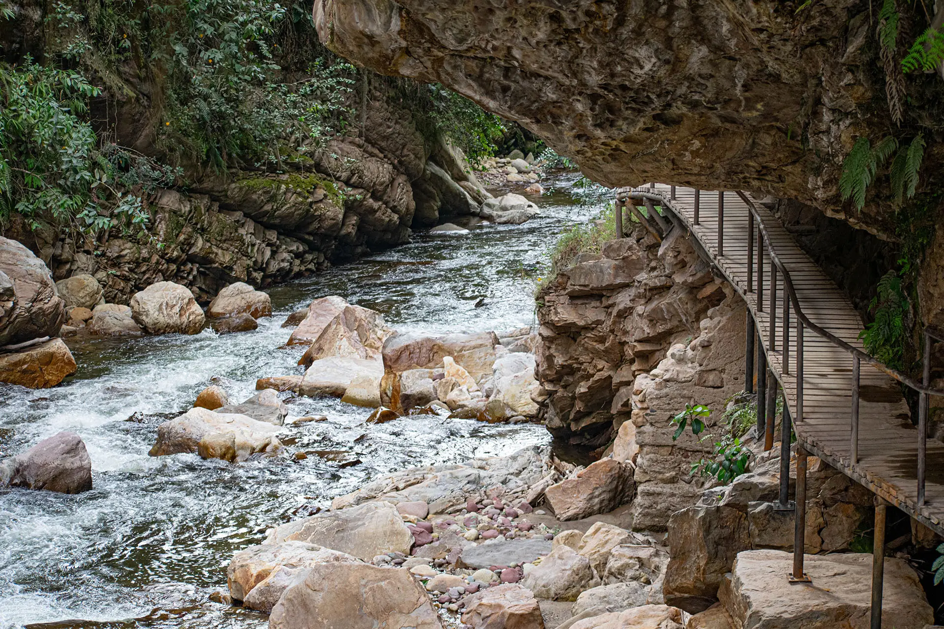 deck de madera entre el rio