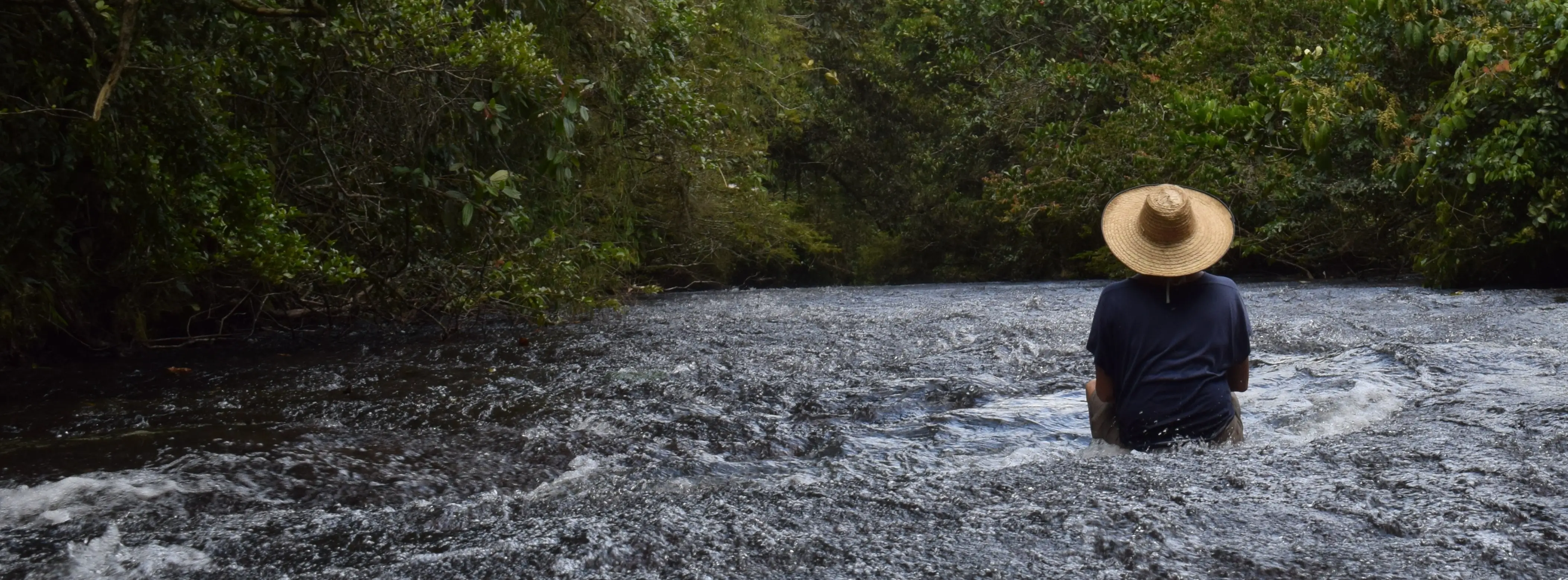 Paisaje de la Reserva Natural