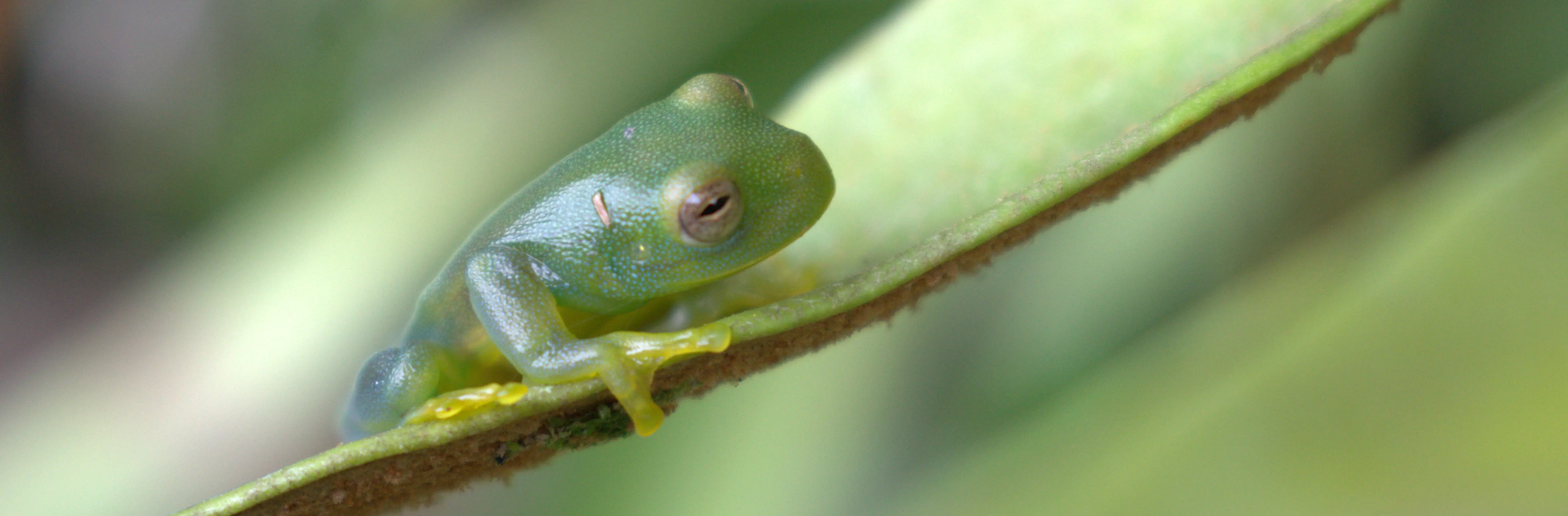 Paisaje de la Reserva Natural